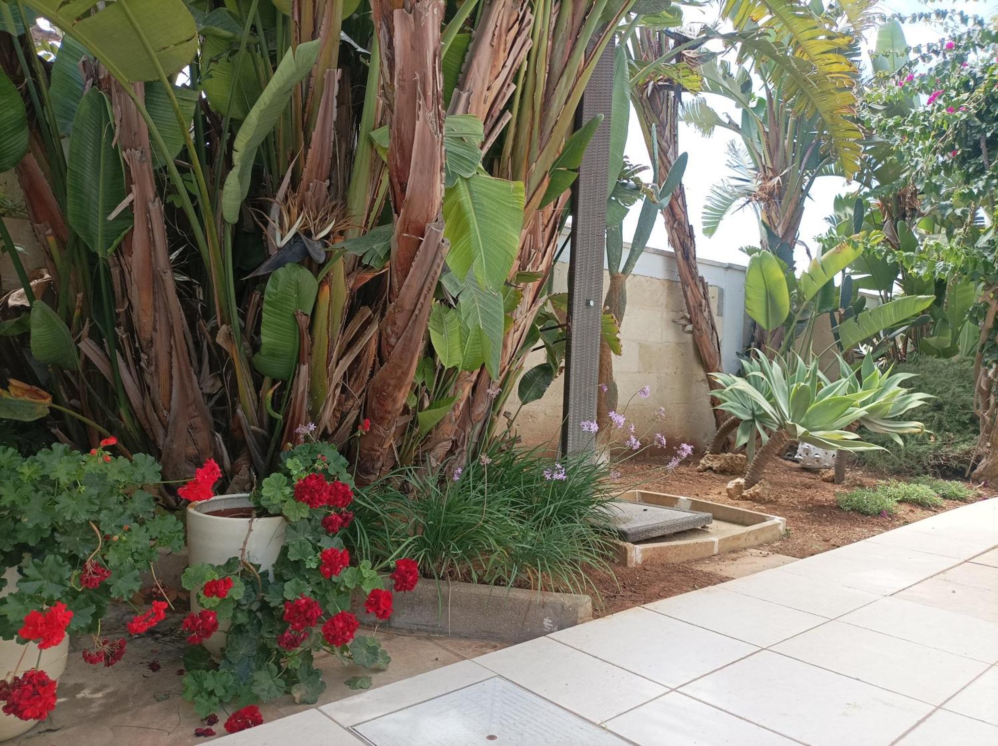 טורה סן ג'ובאני אוג'נטו La Giara Resort מראה חיצוני תמונה